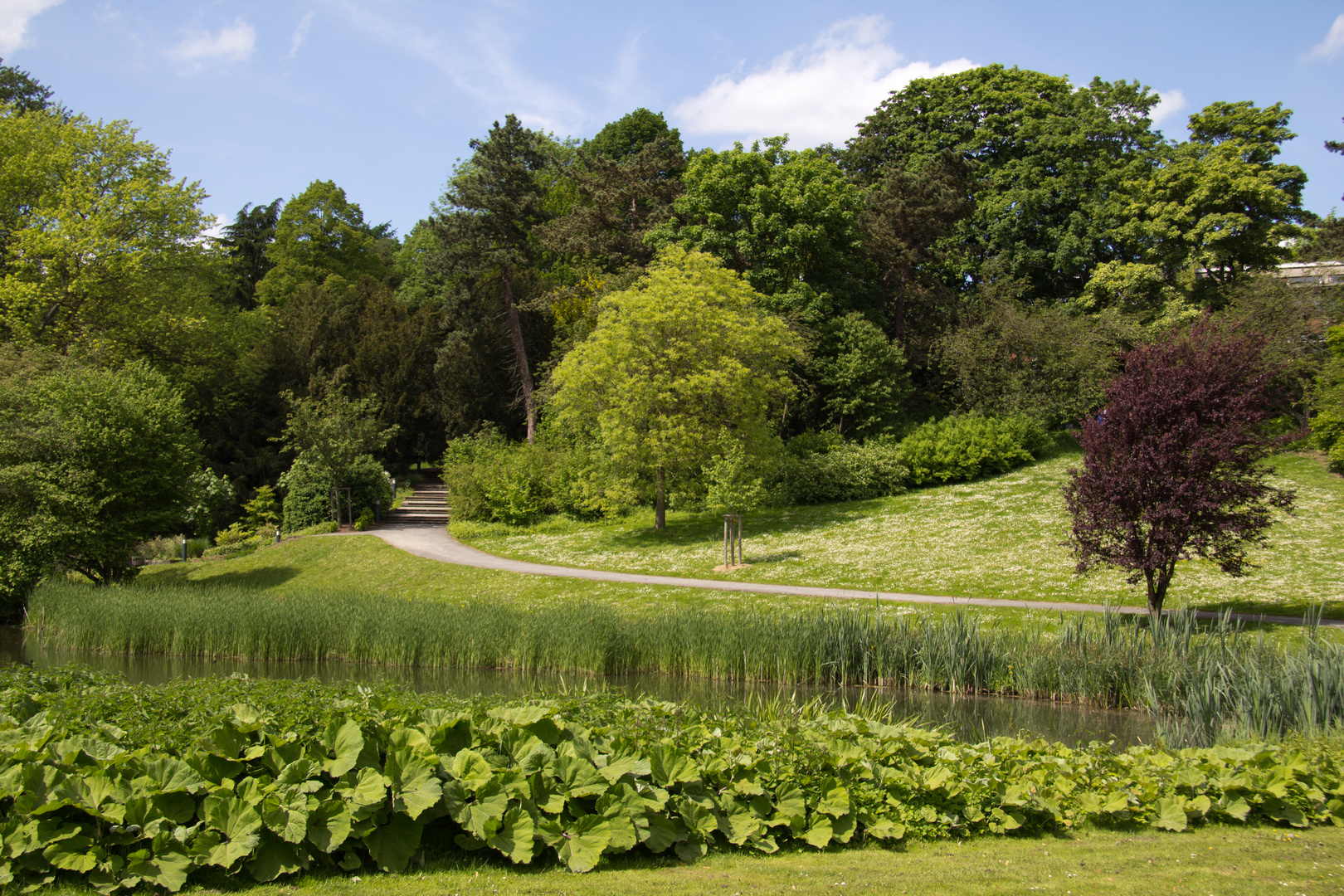 Frühling im Westfalenpark in Dortmund