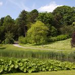 Frühling im Westfalenpark in Dortmund