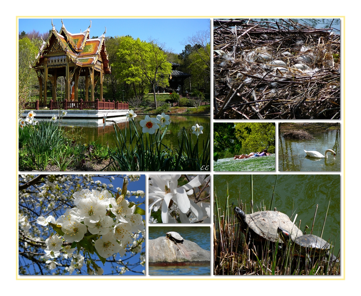 Frühling im Westpark...