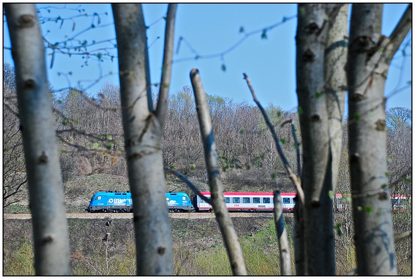 Frühling im Wienerwald