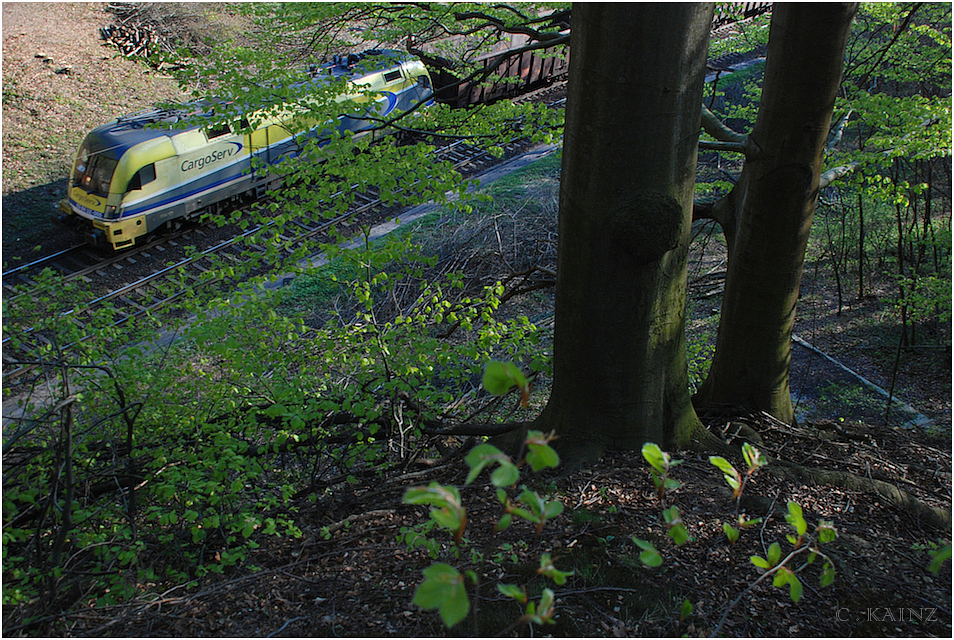 Frühling im Wienerwald II