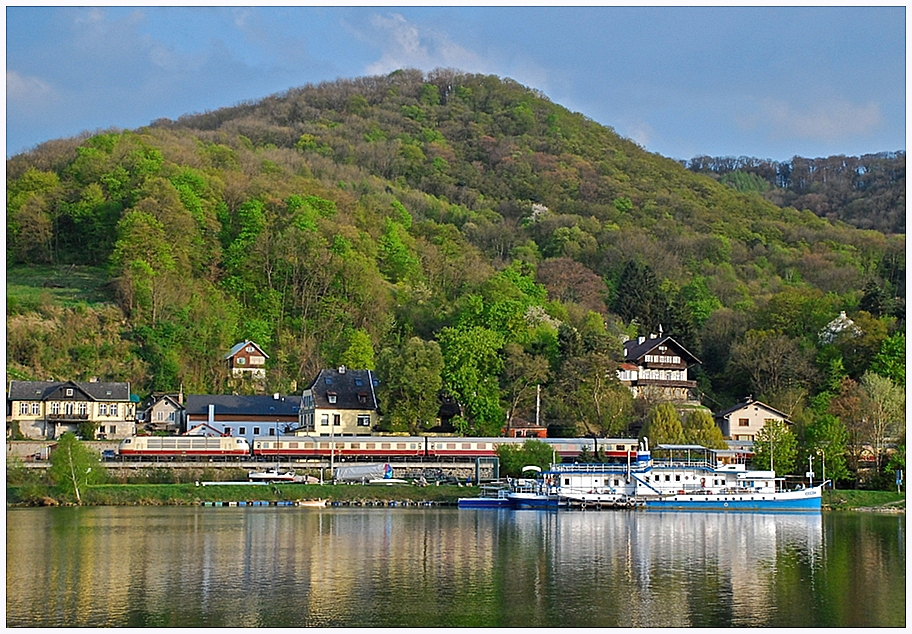 Frühling im Wienerwald II