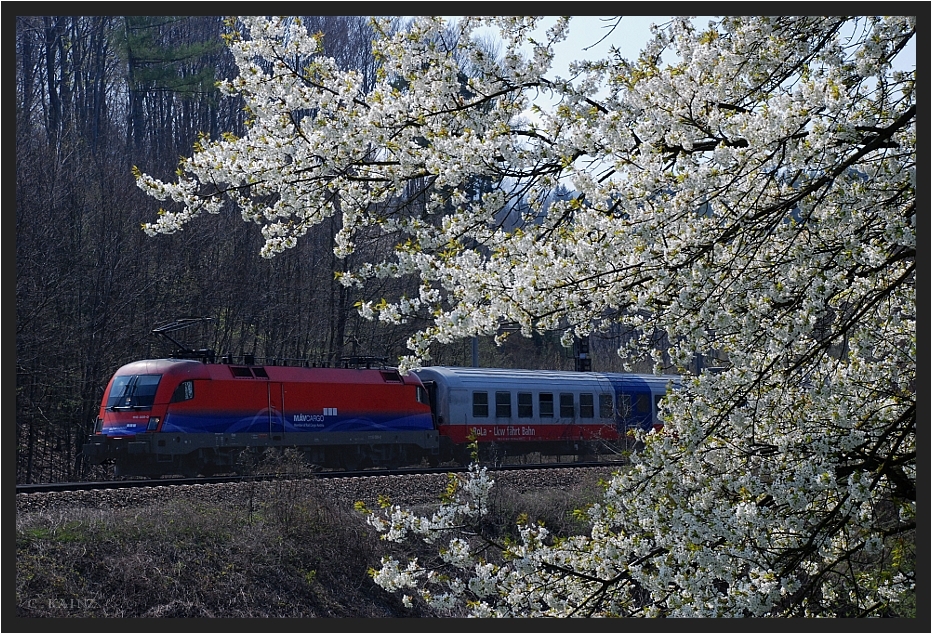 Frühling im Wienerwald V