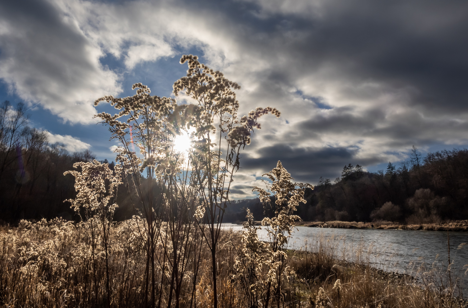 Frühling im Winter 