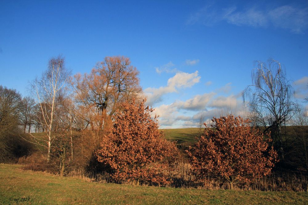 Frühling im Winter