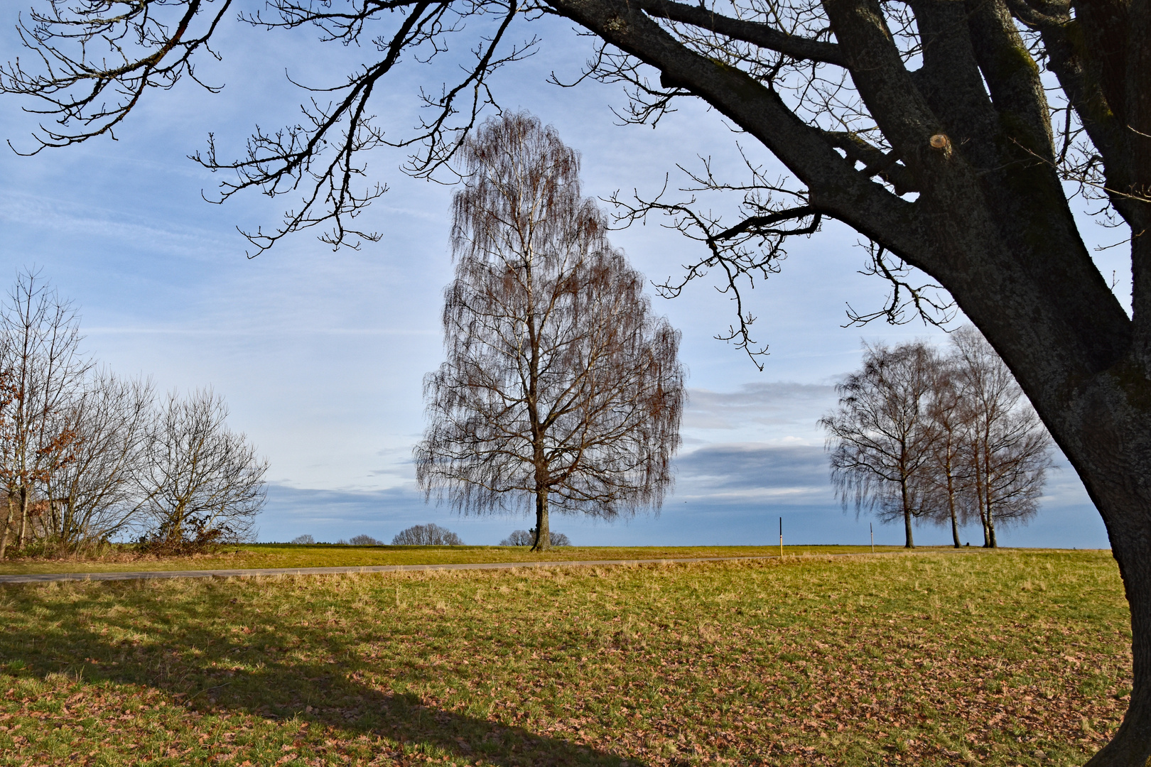 Frühling im Winter