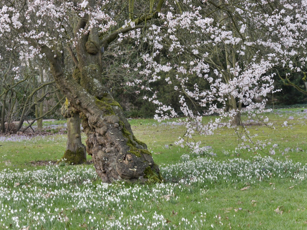 Frühling im WINTER