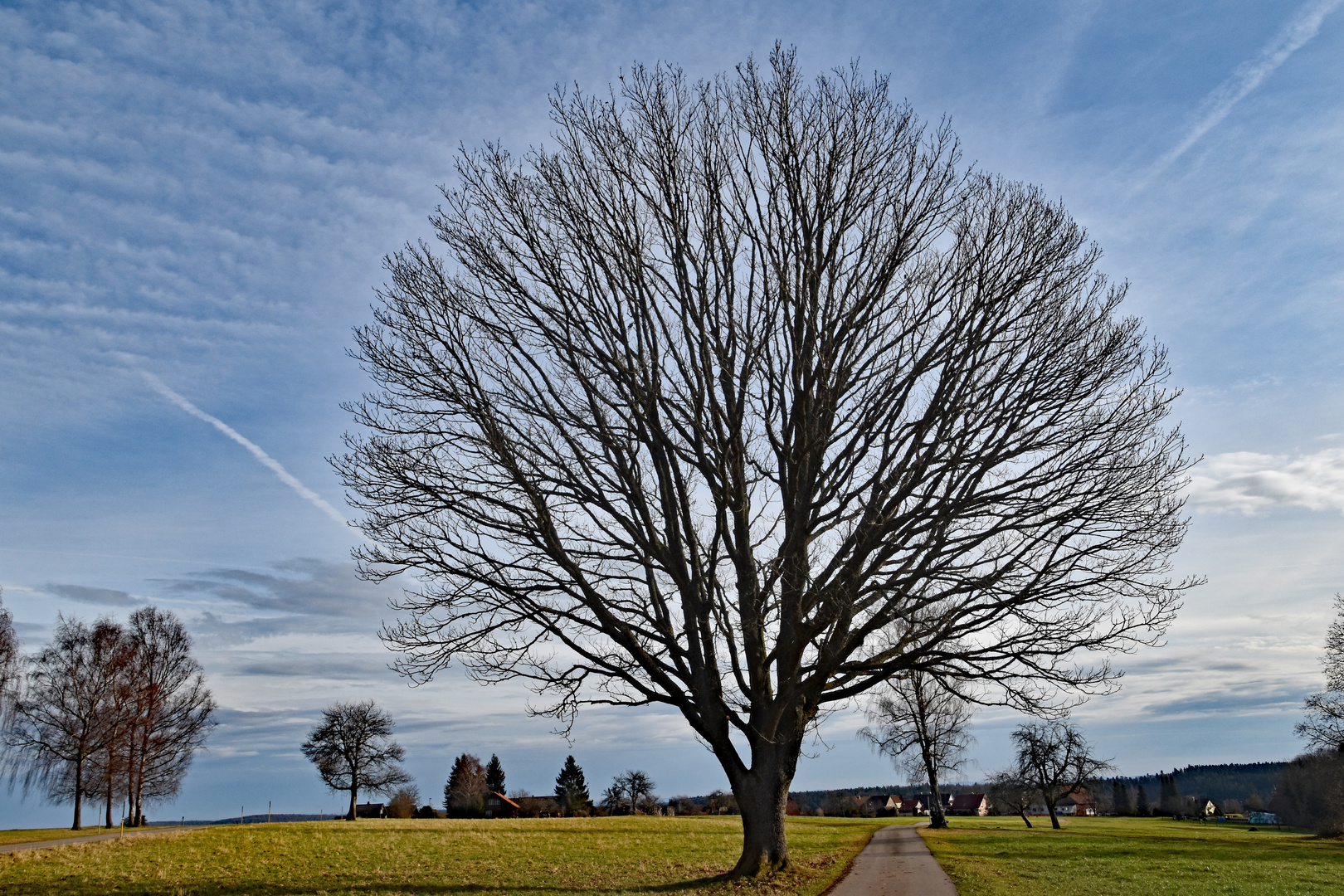 Frühling im Winter_2