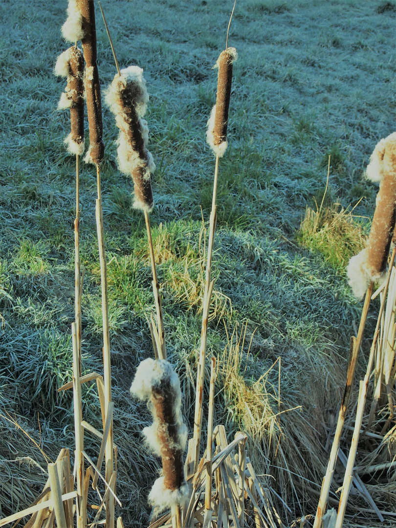 Frühling im Winterschlaf...