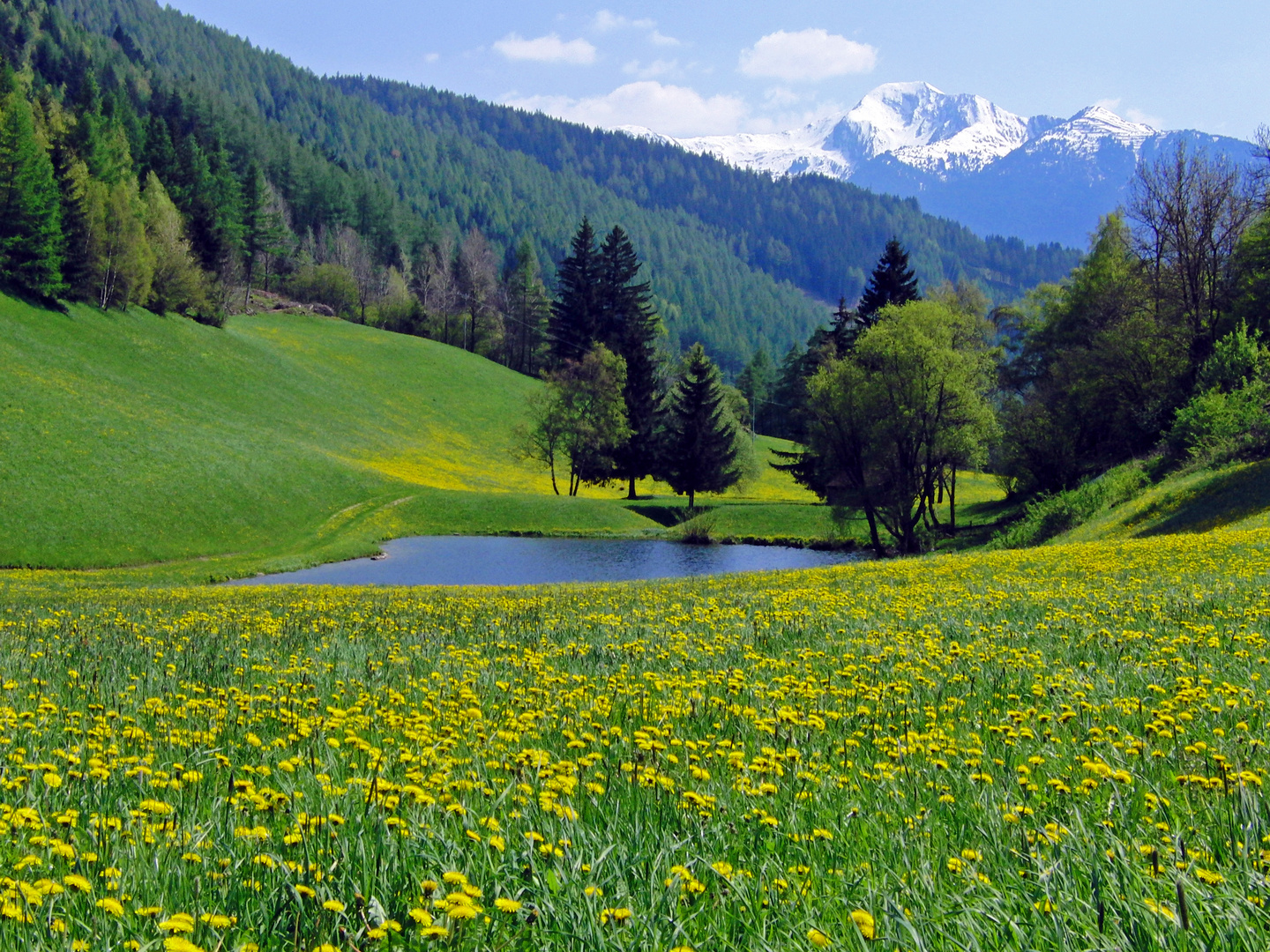 Frühling im Wipptal