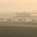 *Frühling im Wittlicher Tal*