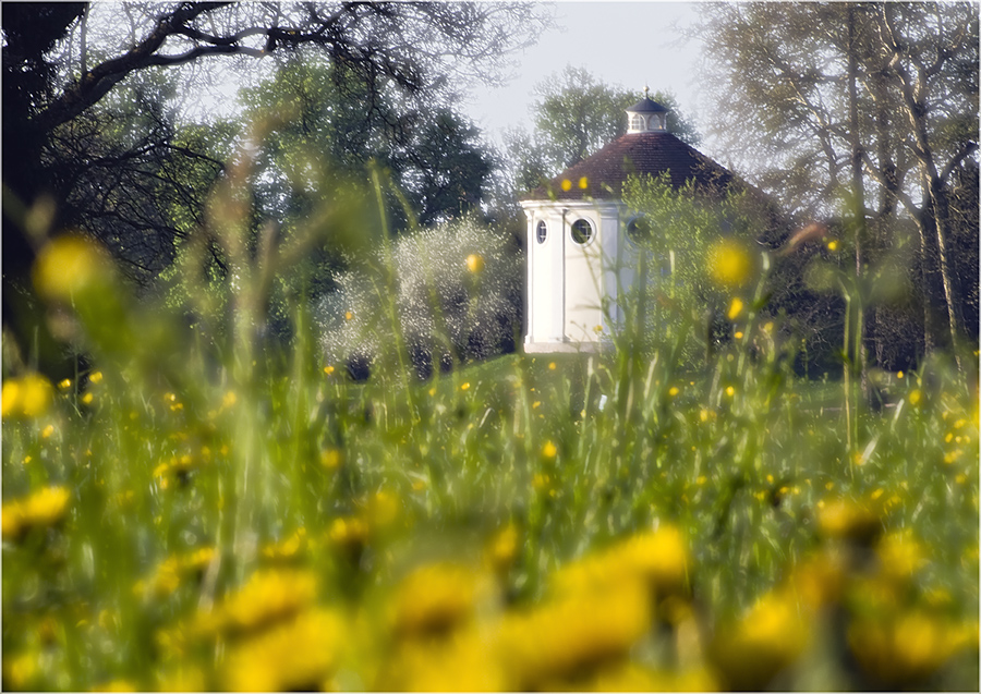 Frühling im Wörlitzer Park