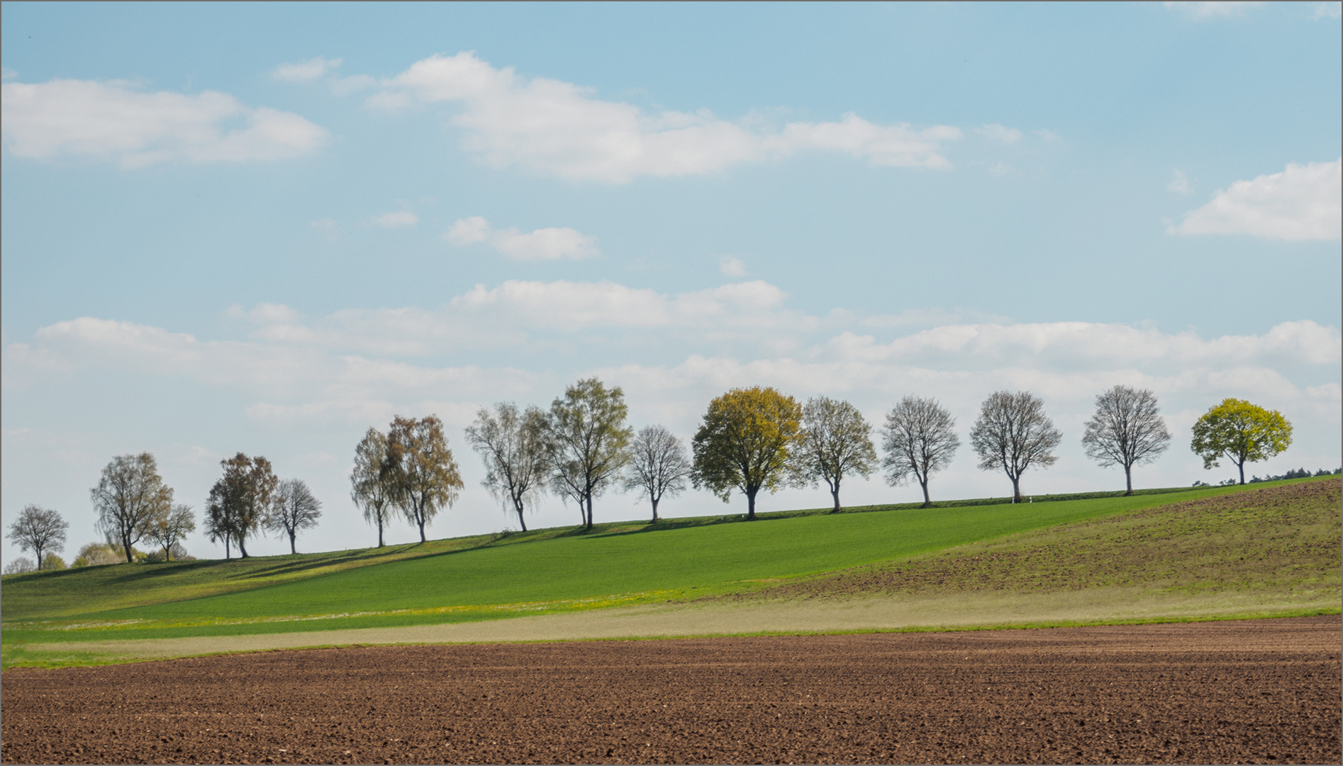 Frühling im Wörnitztal