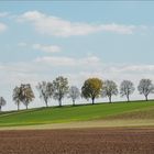 Frühling im Wörnitztal