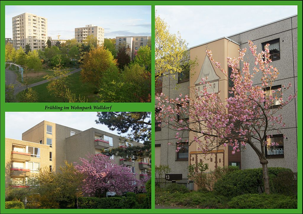 Frühling im Wohnpark Walldorf