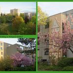 Frühling im Wohnpark Walldorf