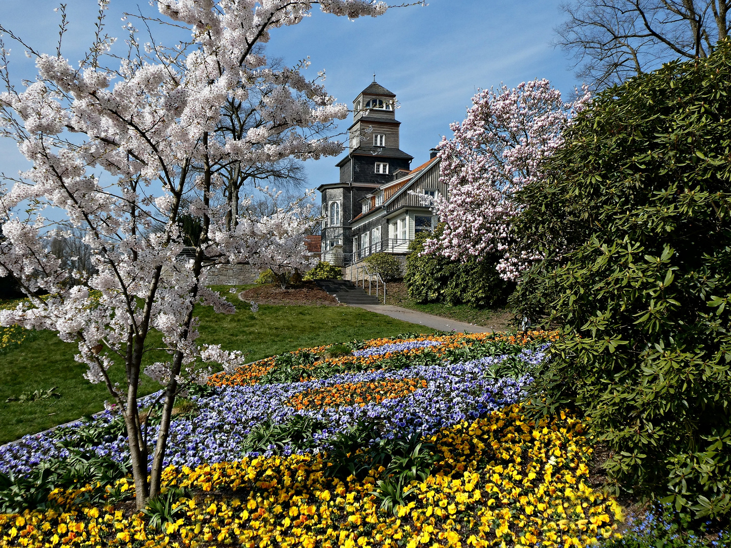 Frühling im Wuppertaler Nordpark