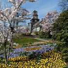 Frühling im Wuppertaler Nordpark