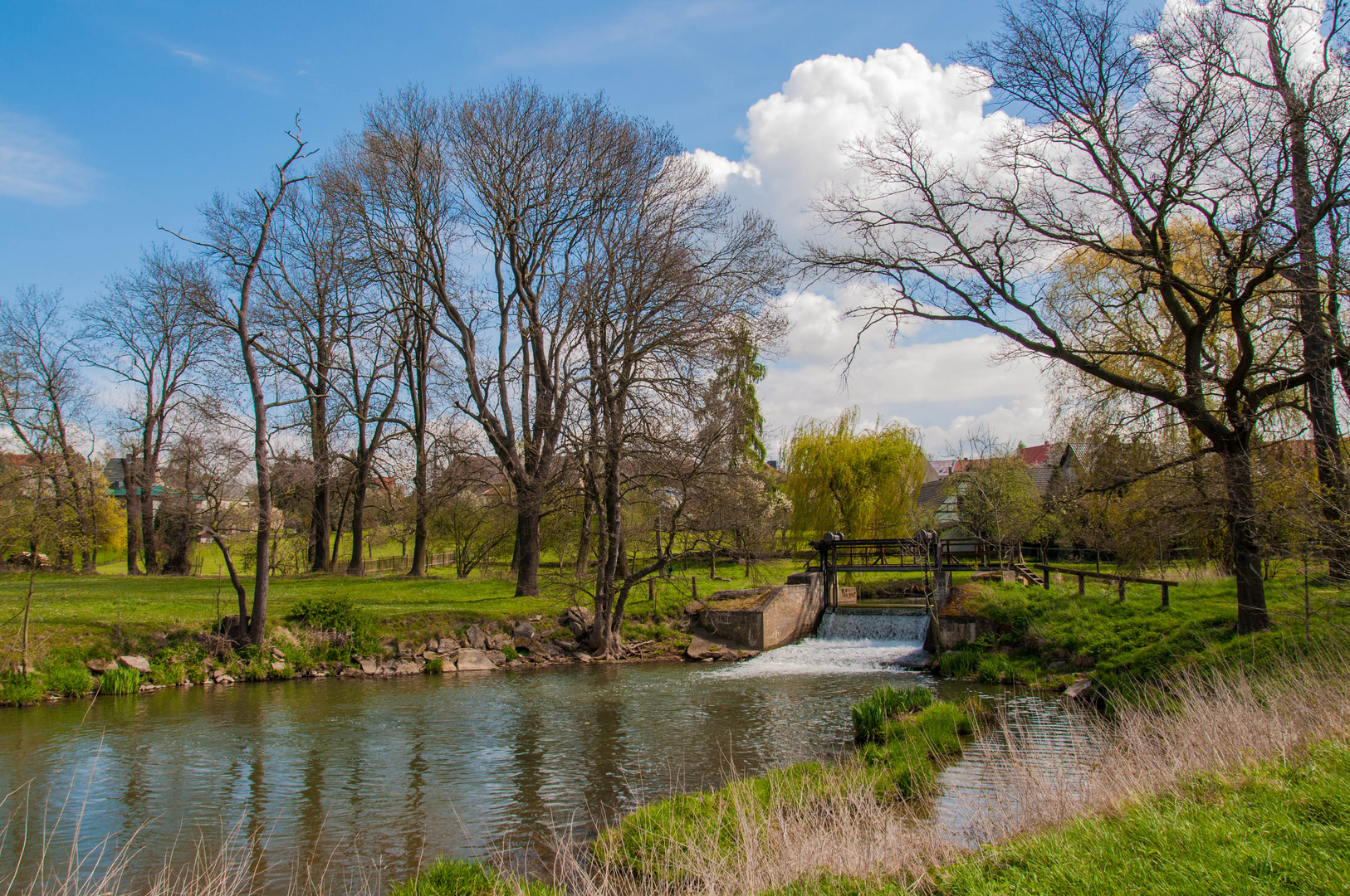 Frühling im Wyhratal