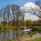 Frühling im Wyhratal