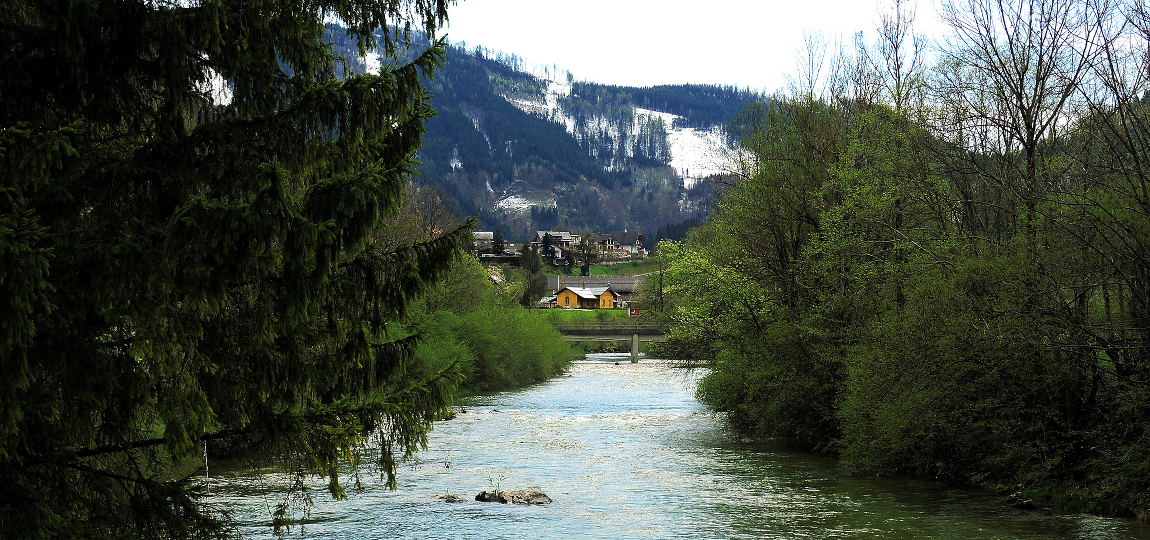 Frühling im Ybbstal