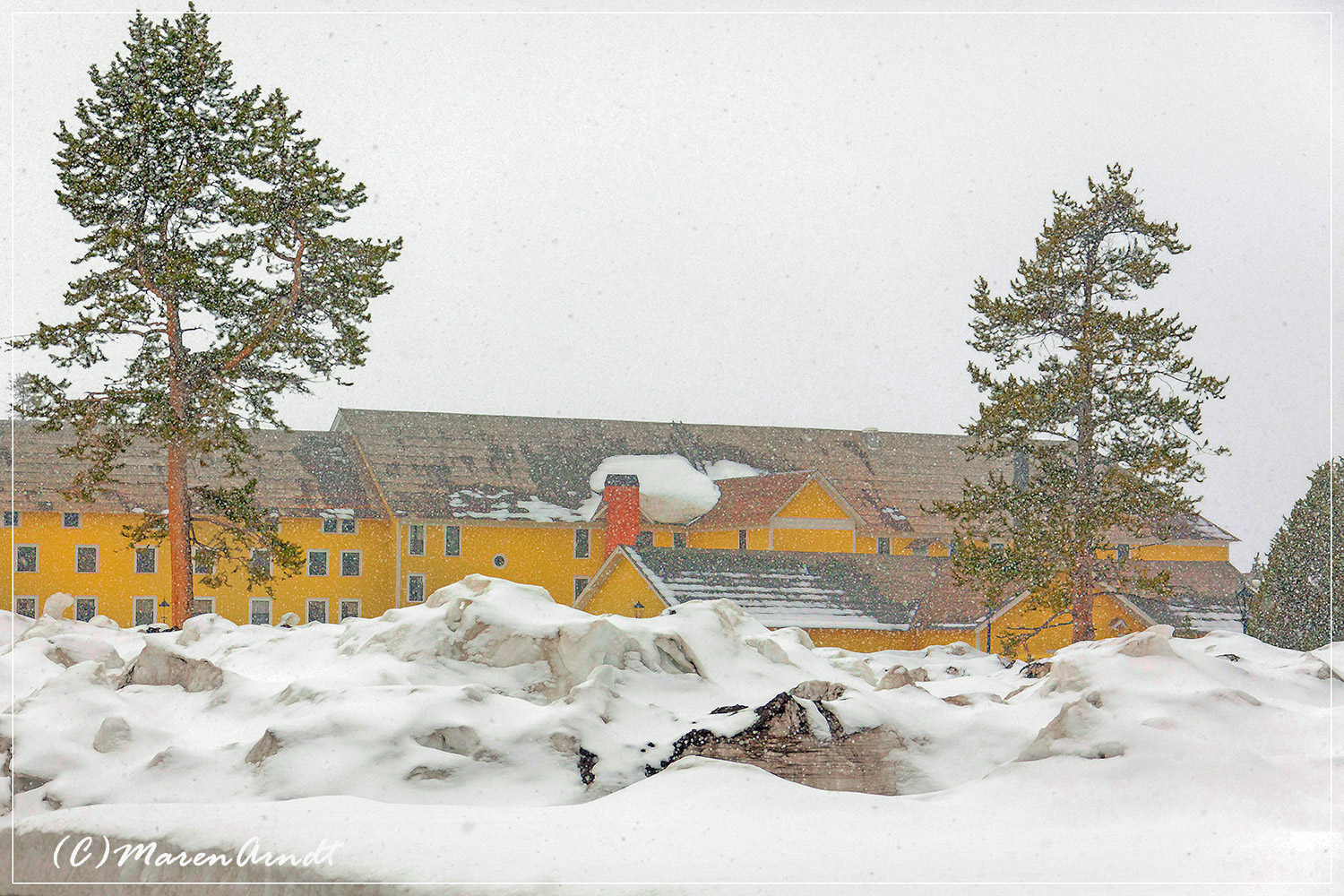 Frühling im Yellowstone