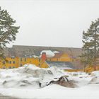 Frühling im Yellowstone