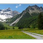 Frühling im Zalimtal / Vorarlberg