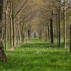 Frühling im Zonser Grind