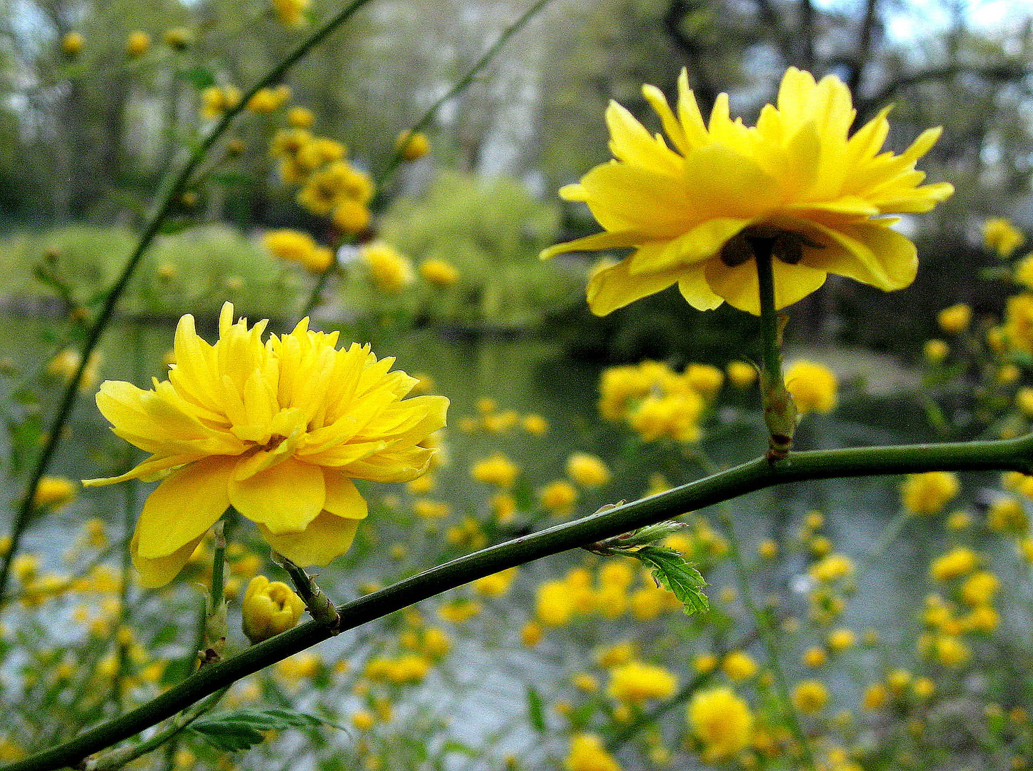 Frühling im Zoo