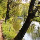 Frühling im Zschopautal bei Chemnitz