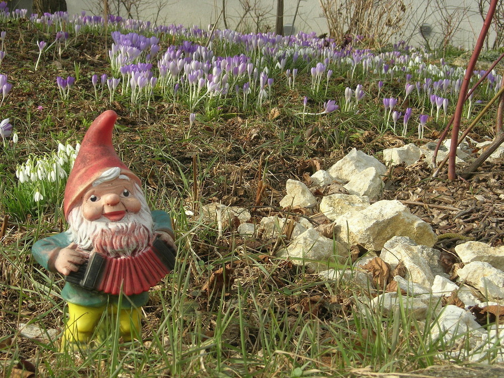 Frühling im Zwergenland