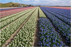 frühling in......