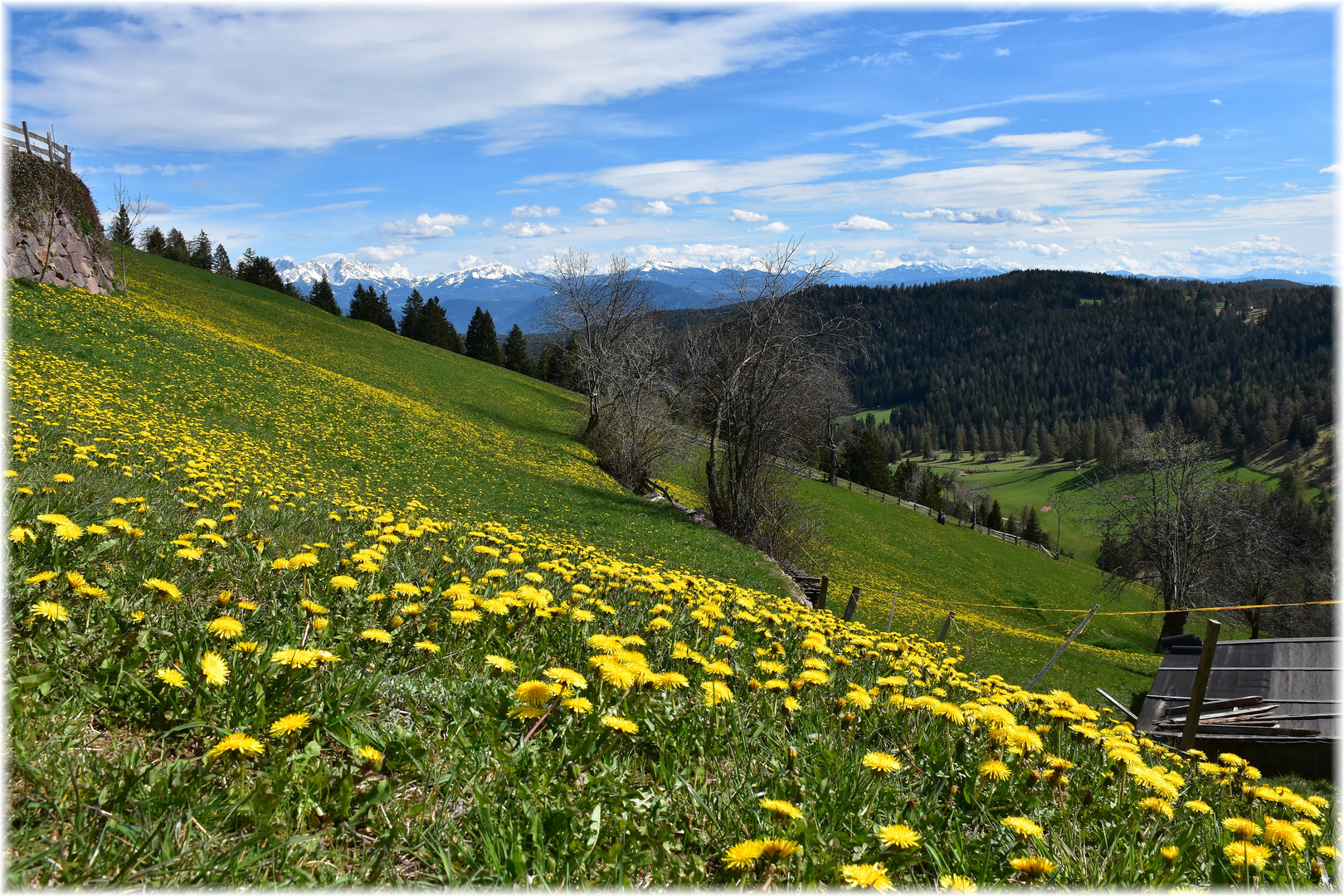 Frühling in....