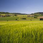 Frühling in Affeln