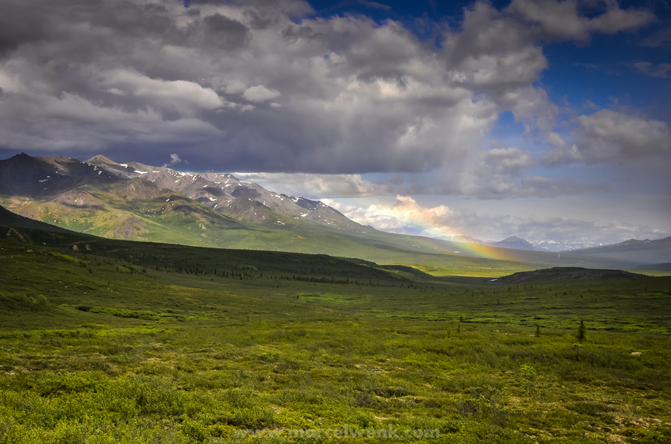 Frühling in Alaska