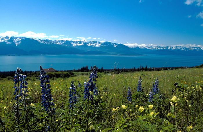 Frühling in Alaska