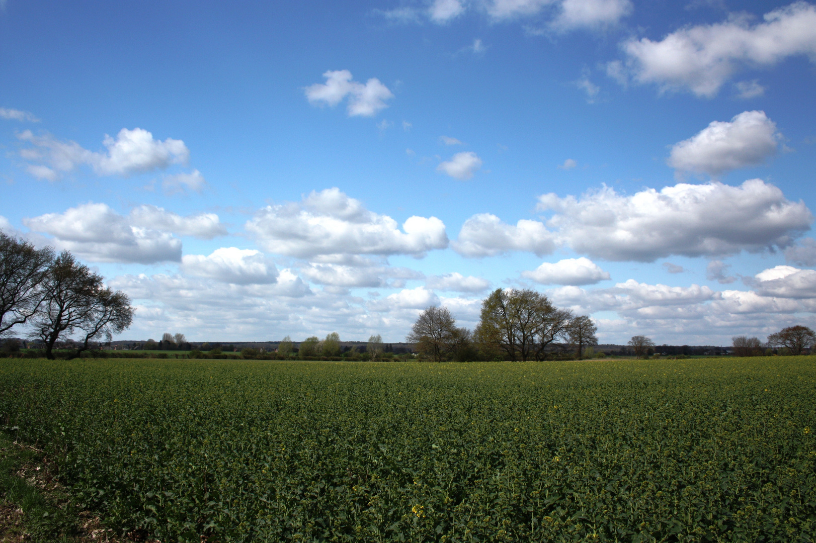 Frühling in Alpsray