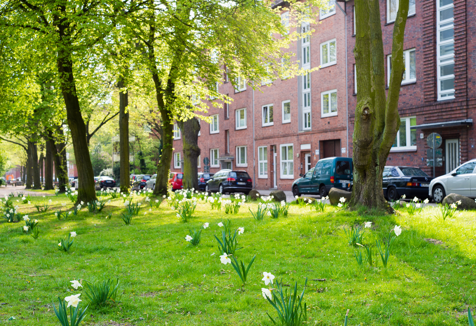 Frühling in Altona