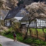 Frühling in "Altwindeck" an der Sieg