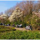 Frühling in Amsterdam