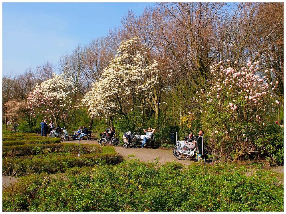 Frühling in Amsterdam