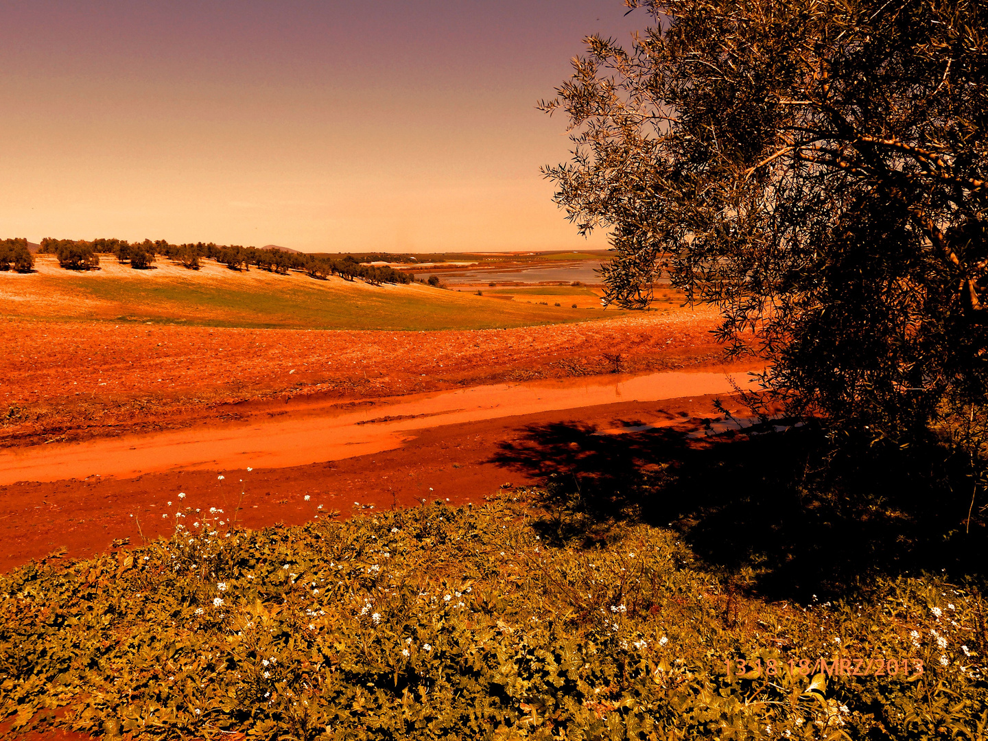 Frühling in Andalusien