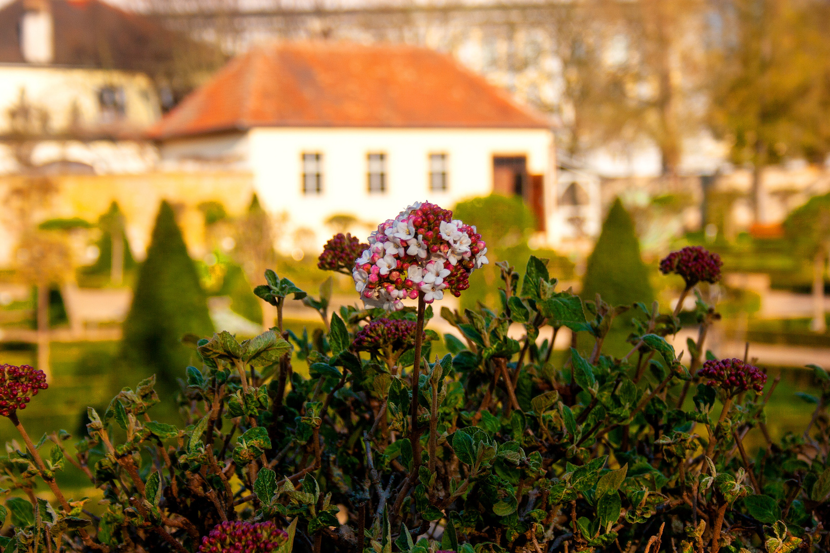 Frühling in Ansbach