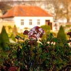 Frühling in Ansbach