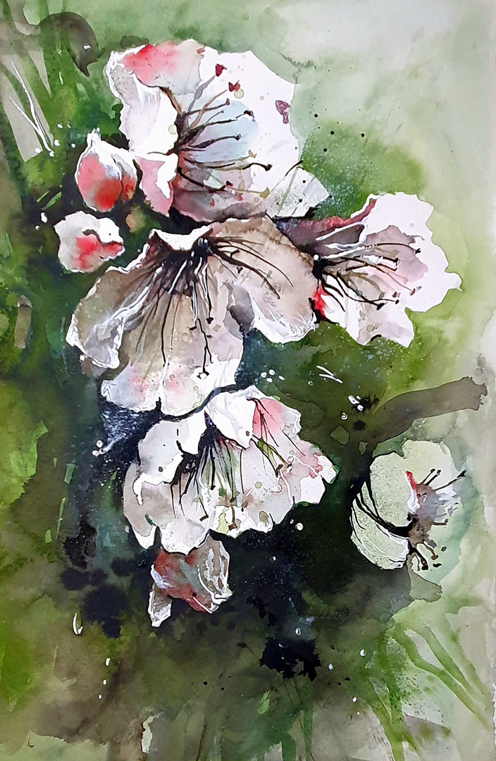 Frühling in Aquarell 