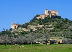 Frühling in Arta