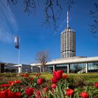 Frühling in Augsburg