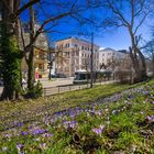 Frühling in Augsburg