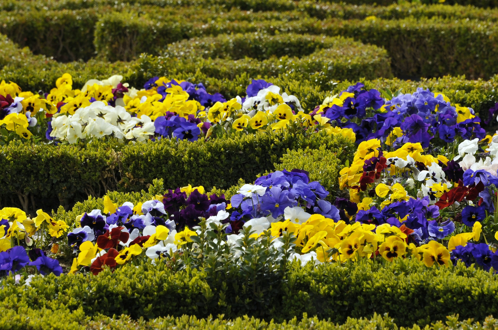 Frühling in Augustusburg